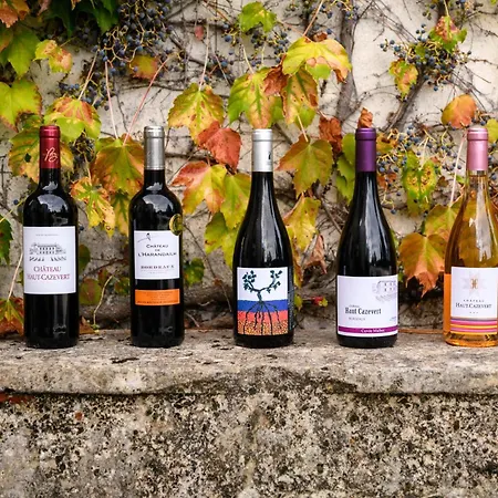 B&B Chateau Cazevert Blasimon