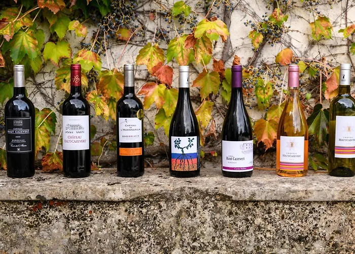 Couette-café Chateau Cazevert Blasimon