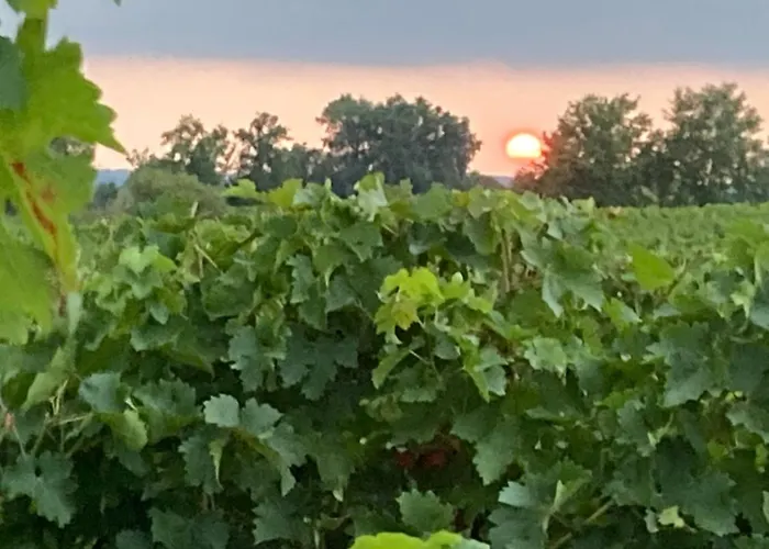 Chateau Cazevert Couette-café Blasimon